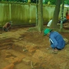 Trà Vinh: Tiến hành khai quật khu di chỉ tại chùa Lò Gạch