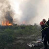 Bắc Giang: Liên tiếp xảy ra cháy rừng tại huyện Yên Dũng