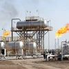 "Giá dầu giảm không tác động nhiều đến lĩnh vực hóa dầu của Việt Nam"