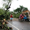 Số người thiệt mạng do bão Seniang tại Philippines lên tới 35 người