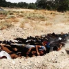 Lộ loạt ảnh phiến quân IS hành quyết tám công dân Iraq