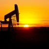Lý do các công ty Mỹ tiếp tục khai thác dầu dù giá sụt giảm