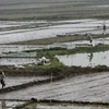 Chuẩn bị lấy nước đợt 1 cho vụ lúa Đông Xuân 2014-2015