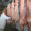 Nga tăng cường nhập khẩu các loại thịt tươi sống của Brazil