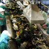 Chạy thử thành công Nhà máy xử lý chất thải rắn tại Lý Sơn