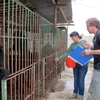 Gấu nuôi tại các trang trại tư nhân ở Quảng Ninh đang kêu cứu