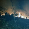 Quảng Ninh: Hỏa hoạn thiêu rụi gần 6ha rừng keo Nam Sơn