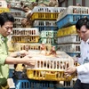 Quảng Trị: Bắt gần 1 tấn gà nhập lậu từ Lào về Việt Nam