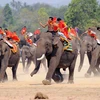 Tưng bừng hội đua voi tại Lễ hội càphê Buôn Ma Thuột 2015