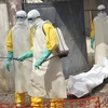 UNDP: Toàn khu vực Tây Phi thiệt hại nặng nề do dịch Ebola