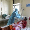 Số người tử vong do cúm lợn đang tăng mạnh tại Ấn Độ