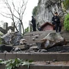 Lở đá tại khu thắng cảnh ở Trung Quốc làm 7 du khách tử vong
