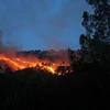 Cháy lớn thiêu rụi 40ha rừng nguyên sinh tại tỉnh Long An