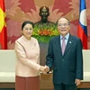 Chủ tịch Quốc hội Nguyễn Sinh Hùng hội đàm Chủ tịch Quốc hội Lào