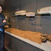 Italy hoàn thành trùng tu Bảo tàng Ai Cập tại thành phố Turin
