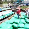 Doanh nghiệp tại Long An hoàn thành chỉ tiêu thu mua lúa tạm trữ