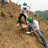 Honda Việt Nam tiếp tục triển khai dự án trồng rừng tại Bắc Kạn