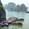 Quảng Ninh: Du lịch biển đảo báo hiệu một "mùa gặt" thành công