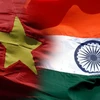 Hợp tác phát triển Việt Nam-Ấn Độ: Tiếp cận từ góc độ kinh tế