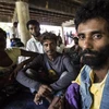 700 người di cư được cứu sống ở ngoài khơi Indonesia