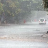 Khu vực Hà Nội có mưa dông, cần đề phòng gió giật mạnh