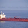 Singapore đề nghị Iran điều tra vụ nổ súng vào tàu chở dầu