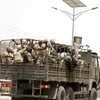 Quân đội Nigeria tuyên bố giành chiến thắng mới trước Boko Haram