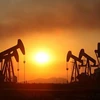Giá dầu trên thị trường châu Á tăng trở lại từ mức giảm sâu