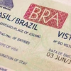 Brazil điều tra gian lận cấp thị thực tại lãnh sự ở New York