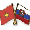 Thành phố Hồ Chí Minh mong muốn hợp tác nhiều lĩnh vực với Slovakia