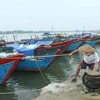 Ngư dân ở thị trấn Cửa Tùng, huyện Vĩnh Linh neo đậu tàu thuyền tránh bão. (Ảnh: Hồ Cầu/TTXVN)