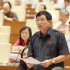 Đại biểu Quốc hội tỉnh Bình Thuận Hà Minh Huệ phát biểu ý kiến. (Ảnh: An Đăng/TTXVN)