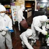 Nhân viên y tế phun thuốc khử trùng tại quán càphê ở Seoul phòng tránh sự lây lan của virus MERS. (Nguồn: AFP/TTXVN)