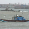 Tàu thuyền của ngư dân và tránh trú bão tại huyện đảo Cô Tô. (Ảnh: Thu Hằng-Thu Báu/TTXVN)