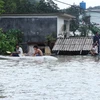  Người dân xã Việt Hải chèo thuyền sơ tán đồ đạc vật dụng ra khỏi nhà bị ngập. (Ảnh: Lâm Khánh/TTXVN)