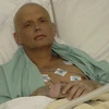 Cựu nhân viên KGB Alexander Litvinenko. (Nguồn: Getty Images)