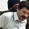 Trùm ma túy khét tiếng người Mexico Joaquin ''Chapo'' Guzman. (Nguồn: AFP/TTXVN)