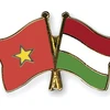 Hội hữu nghị Việt Nam-Hungary nhận Huân chương Lao động hạng Ba