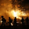Lực lượng cứu hỏa nỗ lực khống chế các đám cháy rừng ở Valley Fire, California. (Nguồn: AFP/TTXVN)