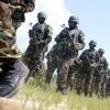 Lực lượng quân đội Nigeria. (Nguồn: AFP)