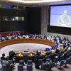 Toàn cảnh cuộc họp Hội đồng Bảo an Liên hợp quốc ngày 25/8. (Nguồn: AFP/TTXVN)