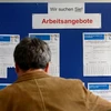 Thông báo tuyển dụng tại một văn phòng việc làm ở Đức. (Nguồn: AFP)