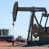 Giếng dầu gần Tioga, Bắc Dakota, Mỹ. (Nguồn: AFP/TTXVN)