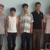 Thành phố Hồ Chí Minh: Triệt phá hai băng trộm, cướp nguy hiểm