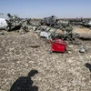 Mảnh vỡ máy bay A321 tại hiện trường vụ rơi ở Wadi el-Zolmat, Ai Cập. (Nguồn: AFP/TTXVN)