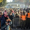 Người di cư tại khu vực biên giới Slovenia-Áo. (Nguồn: AFP/TTXVN)
