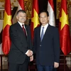 Thủ tướng Nguyễn Tấn Dũng hội kiến với Chủ tịch Quốc hội Hungary Kover Laszlo Kover Laszlo. (Ảnh: Đức Tám/TTXVN)