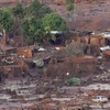 Đất bùn tàn phá thị trấn Bento Rodrigues sau vụ vỡ đập. (Nguồn: THX/TTXVN)