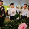 Chủ tịch nước Trương Tấn Sang thăm Công ty Rừng Hoa Đà Lạt, thành phố Đà Lạt. (Ảnh: Phạm Kha/TTXVN) 