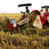  Nông dân sử dụng máy gặt đập liên hợp vào thu hoạch lúa vụ mùa. (Ảnh: Ngọc Hà/TTXVN)